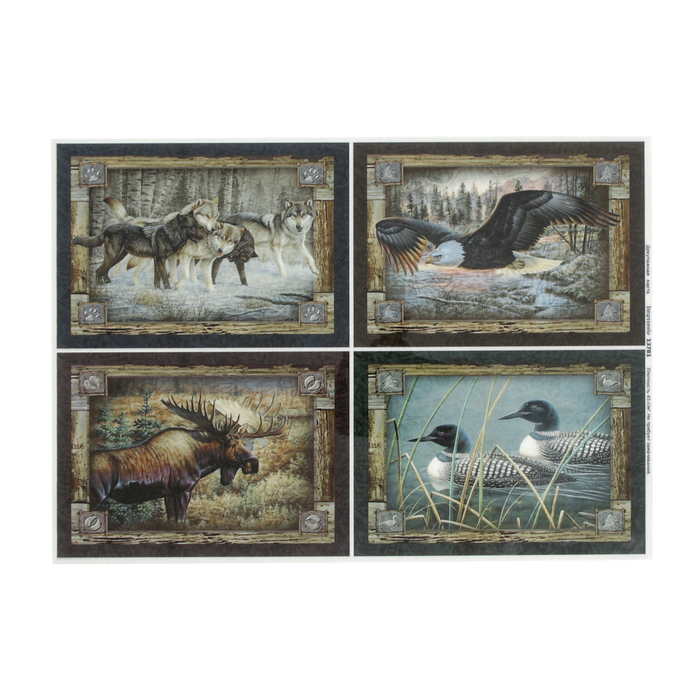 

Декупажная карта "Животный мир" плотность 45 г/м2, формат А4 (5 шт), Разноцветный