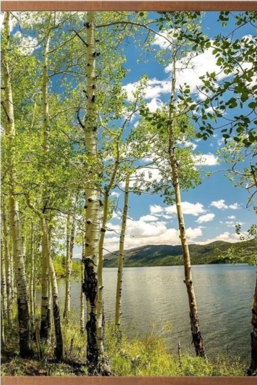 

Обогреватель инфракрасный настенный, ТеплоМакс Березки 105*60 см, 500 Вт