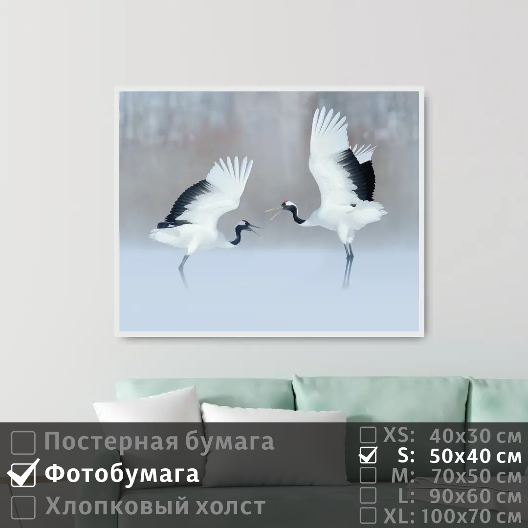 

Постер на фотобумаге ПолиЦентр Два аиста в снежном лесу 50х40 см, ДваАистаВСнежномЛесу