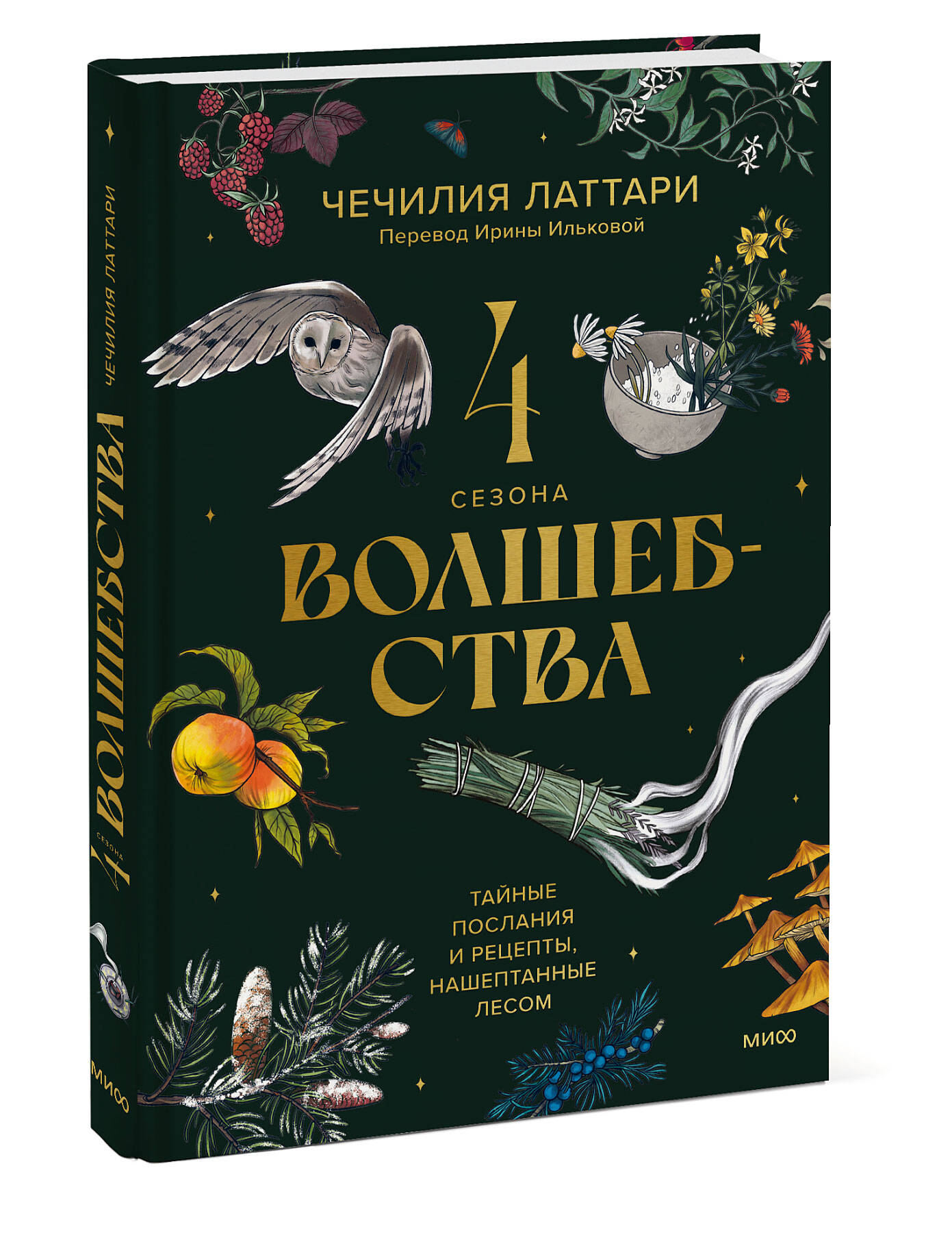 

4 сезона волшебства. Тайные послания и рецепты, нашептанные лесом
