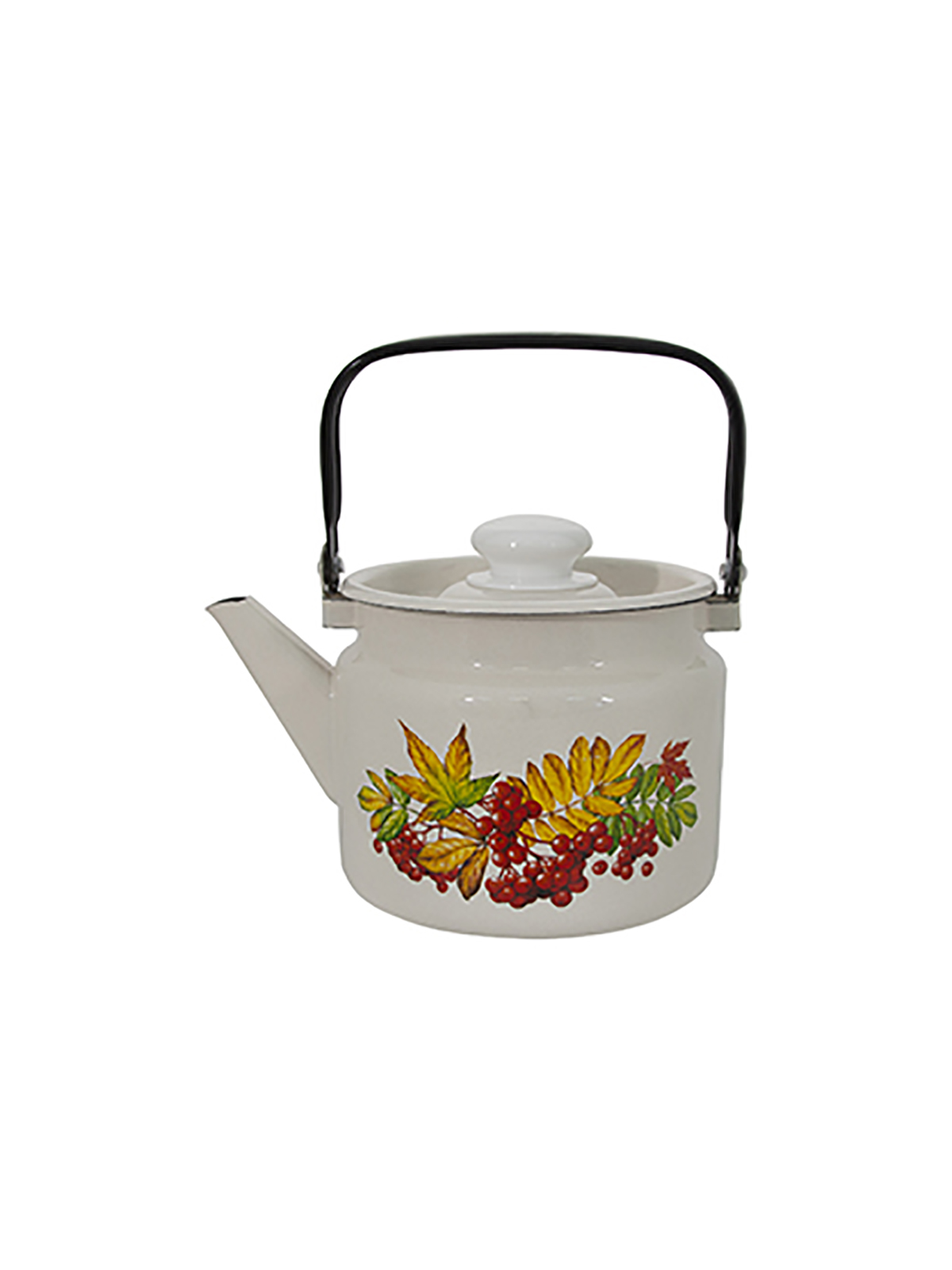 Чайник для плиты Лысьвенские эмали Рябина эмалированный, 2 л