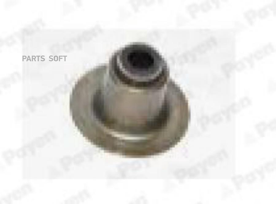 

PAYEN 90913-02060 САЛЬНИК КЛАПАНА L, 2L, 2LTE