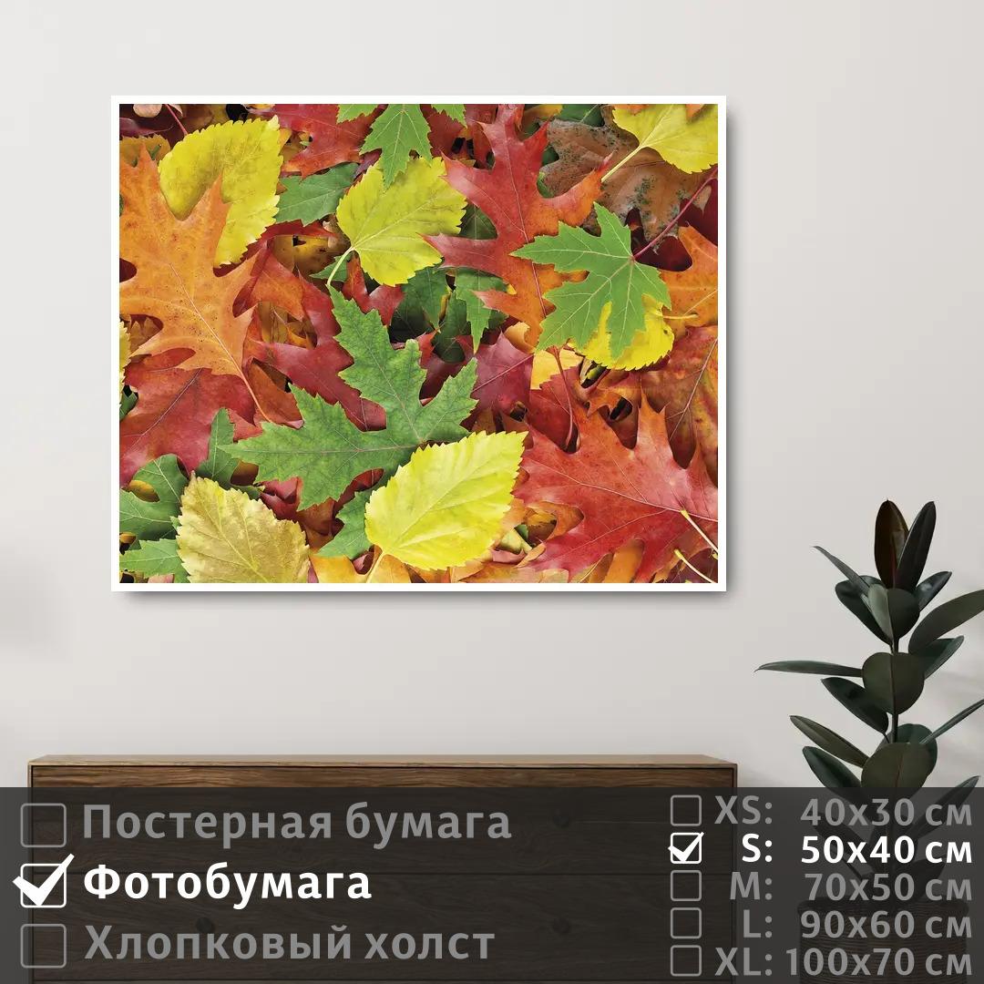 

Постер на фотобумаге ПолиЦентр Осенние красочные листья 50х40 см, ОсенниеКрасочныеЛистья