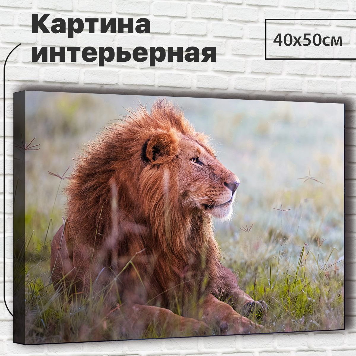 

Картина Лев, 40х50 см XL0046 с креплениями, XL0046