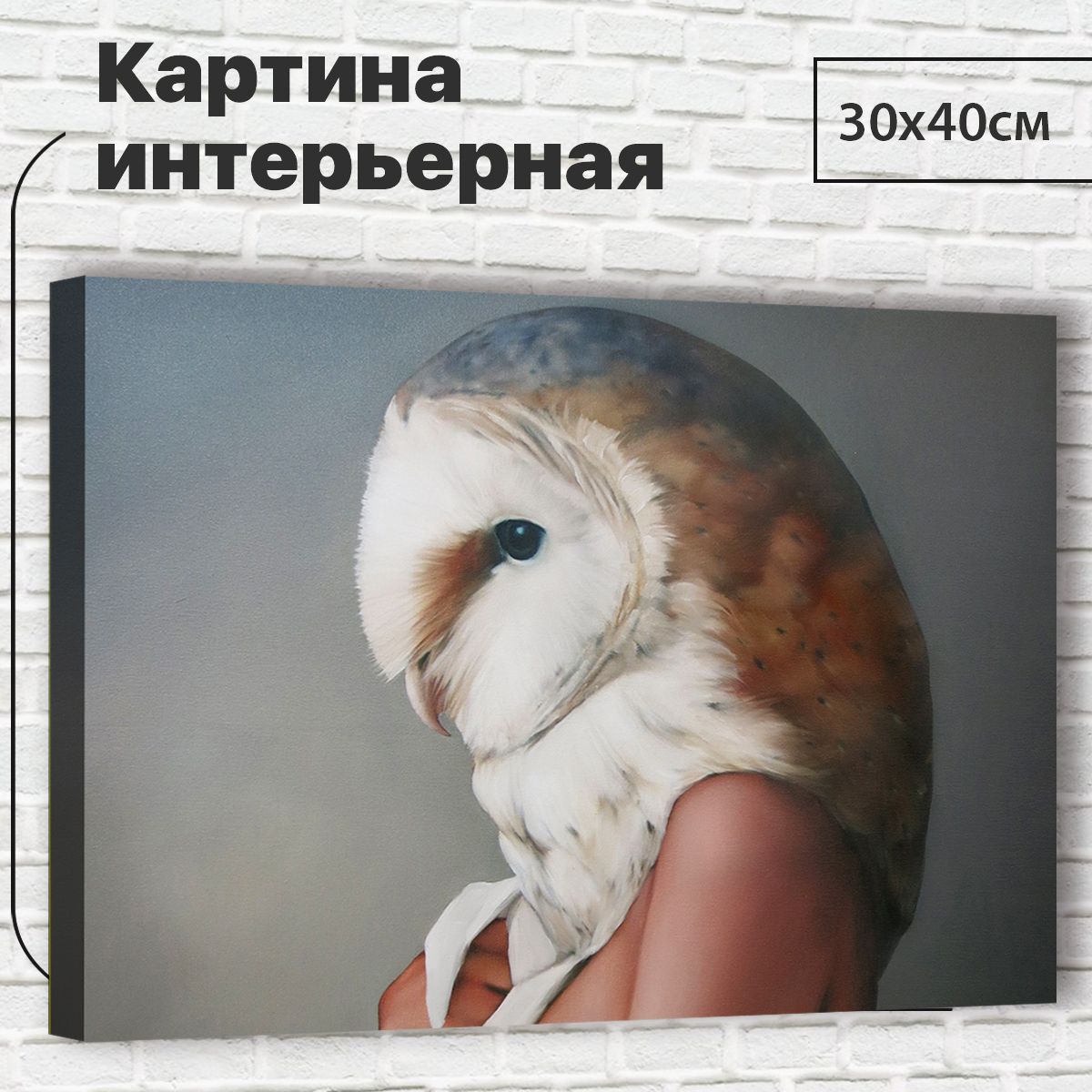 

Картина Мудрость, 30х40 см M0010 с креплениями, М0010
