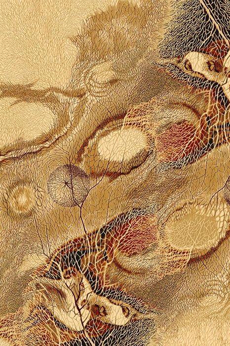 

Agnella Ковер ISFAHAN BELLONA amber 1.6х2.4м