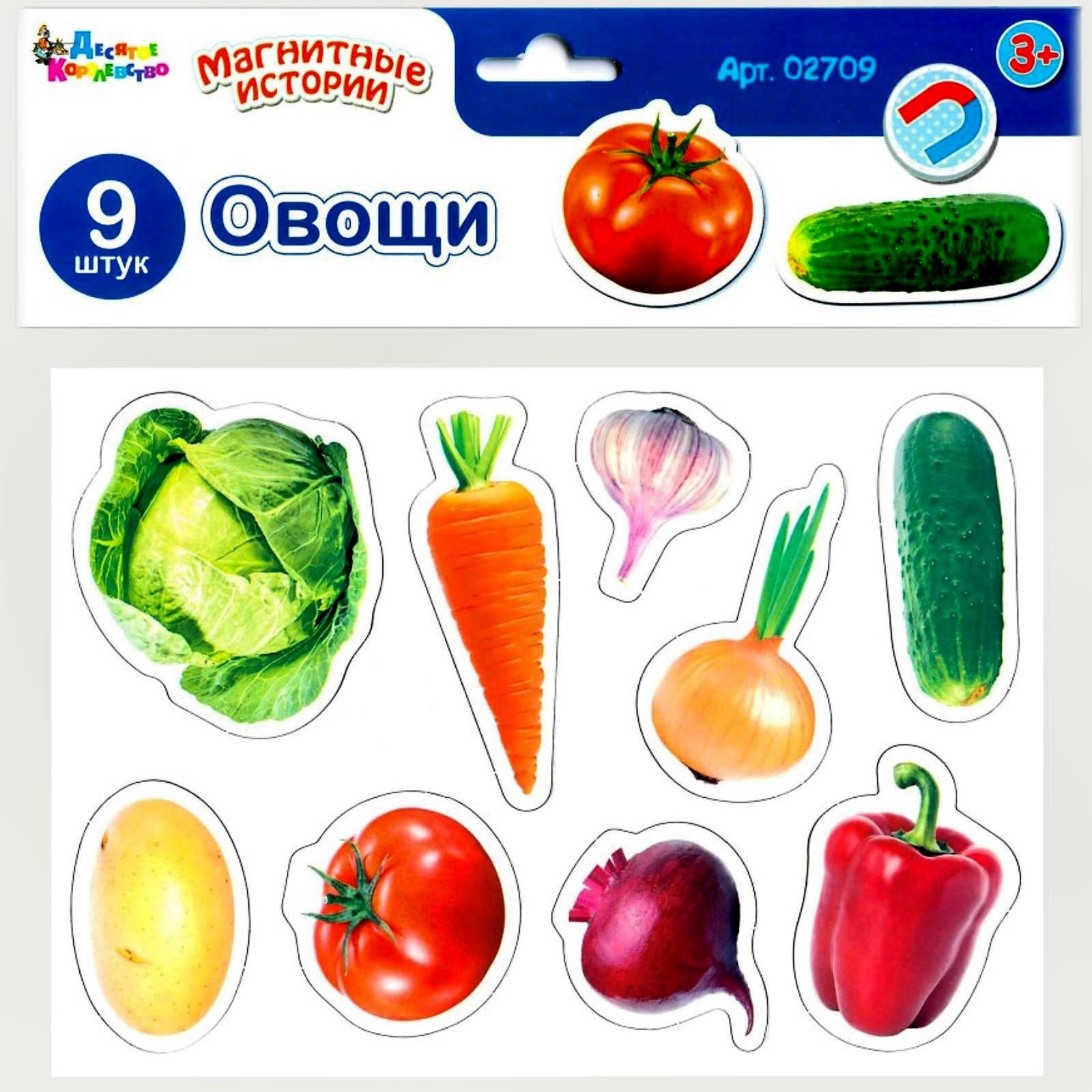 

Магниты «Овощи»