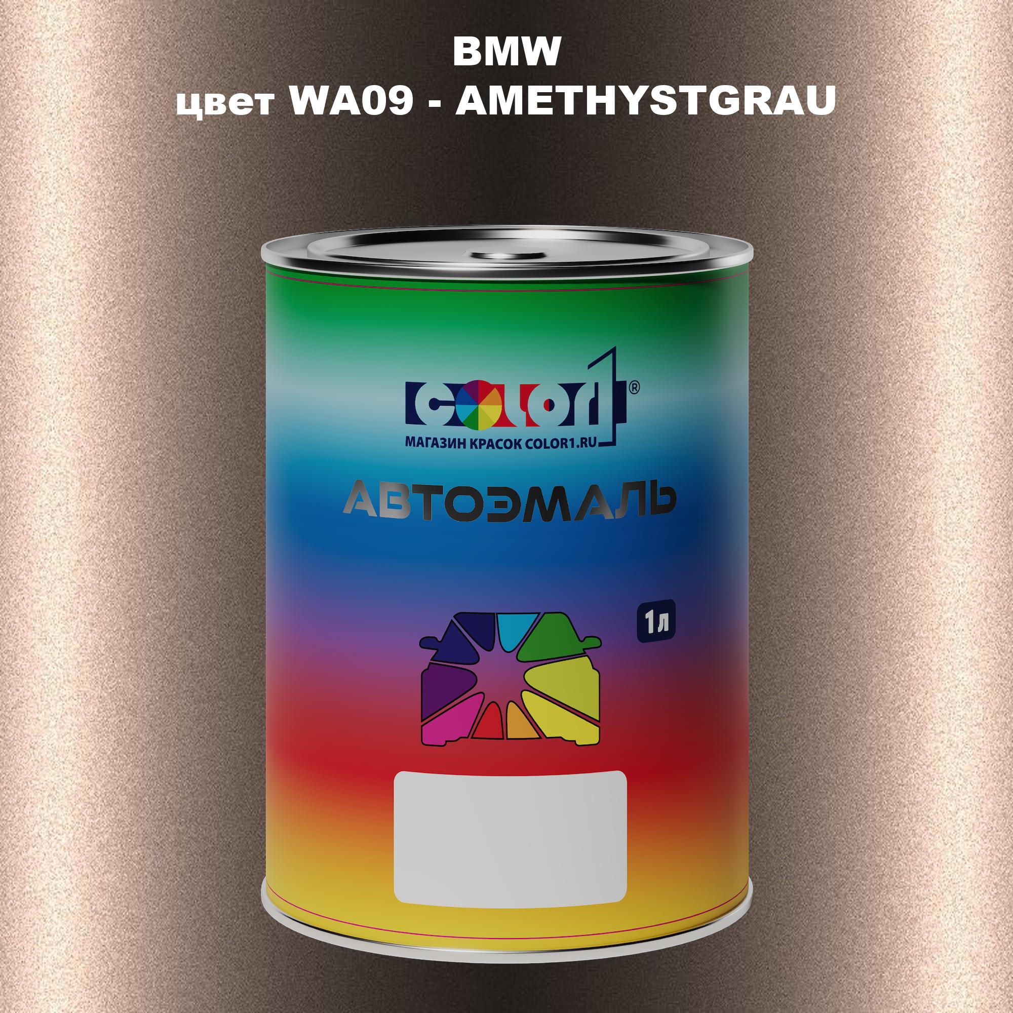 

Автомобильная краска COLOR1 для BMW, цвет WA09 - AMETHYSTGRAU, Прозрачный