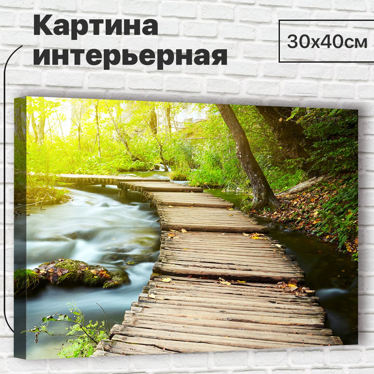 

Картина Природа, 30х40 см М0073 с креплениями, М0073