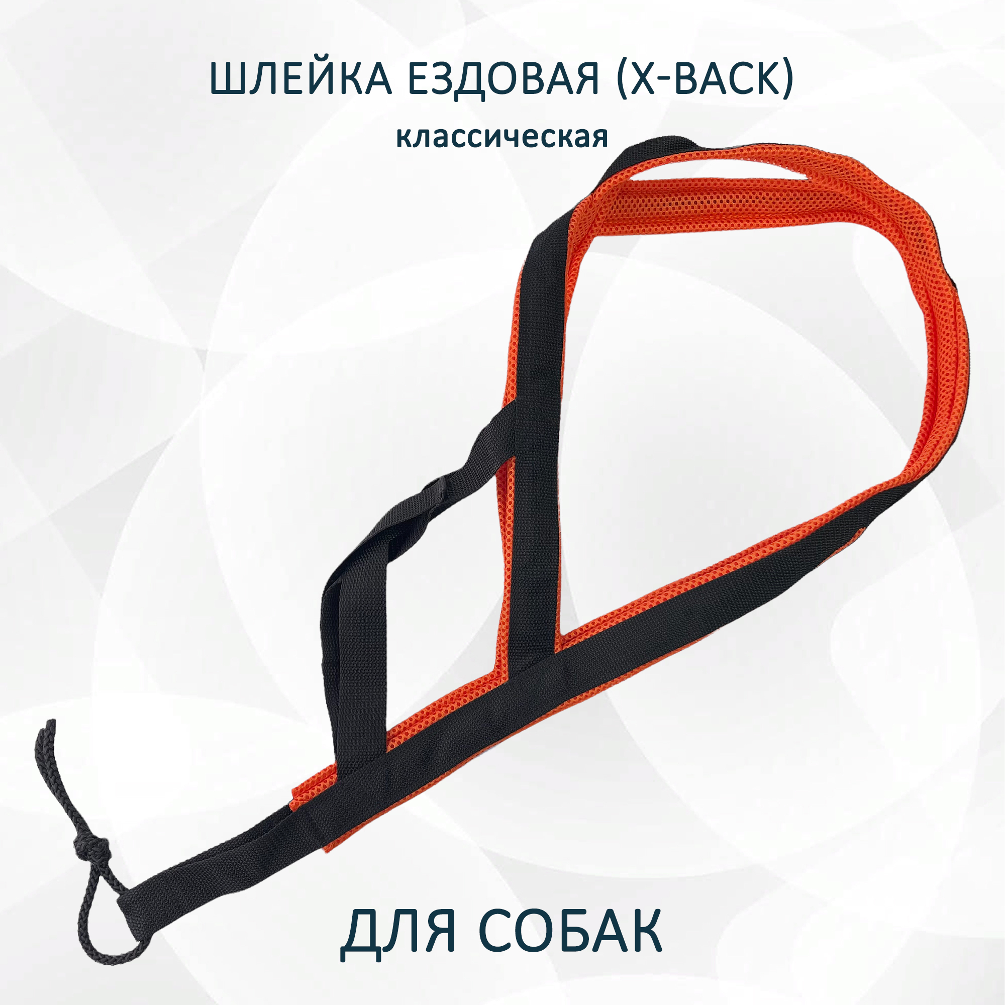 Шлейка для собак Totemica X-Back ездовая, классическая, чёрно-оранжевая, размер XS