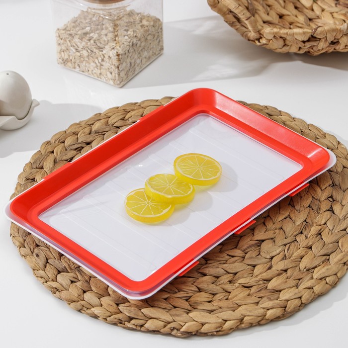 

Контейнер для хранения продуктов, 20×30×2 см
