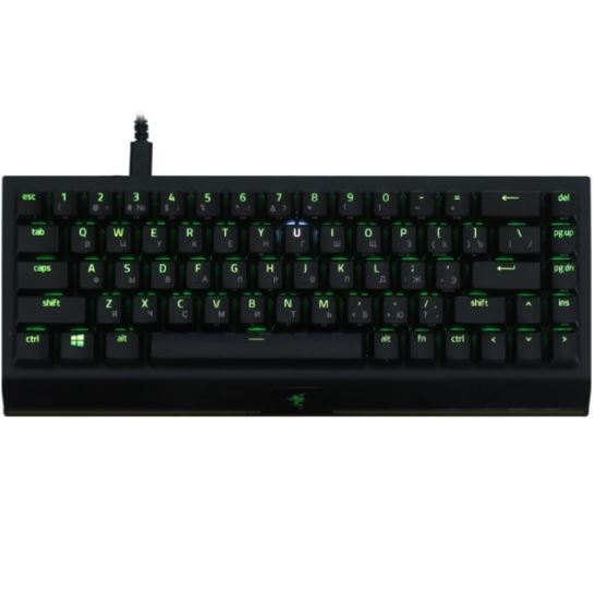 Игровая клавиатура Razer Blackwidow V3 Mini Black (RZ03-03890700-R3R1)