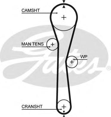 

Ремень грм Gates 5577XS