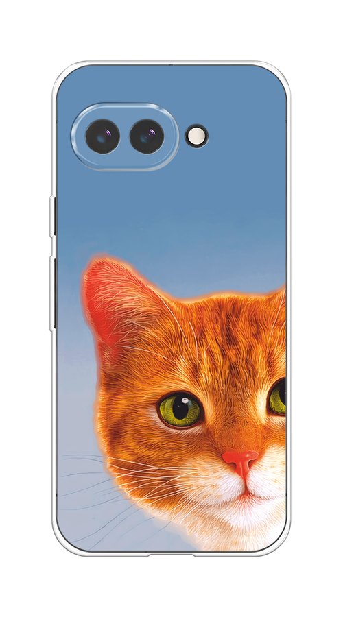 

Чехол на Google Pixel 9a Любопытный котик, Коричневый, 272250-1