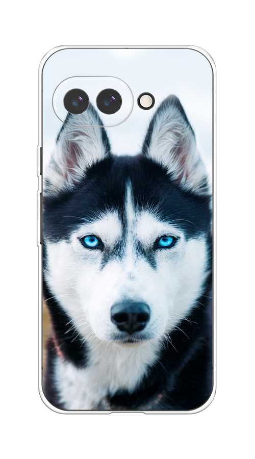 

Чехол на Google Pixel 9a Хаски 2, Синий;белый, 272250-1