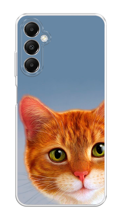

Чехол на Samsung Galaxy A05s "Любопытный котик", Коричневый, 2108850-1