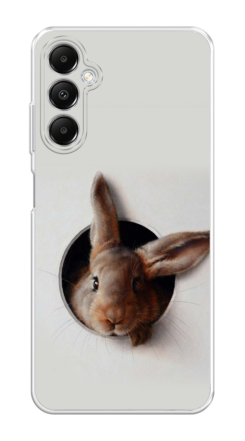 

Чехол на Samsung Galaxy A05s "Любопытный кролик", Серый;коричневый, 2108850-1