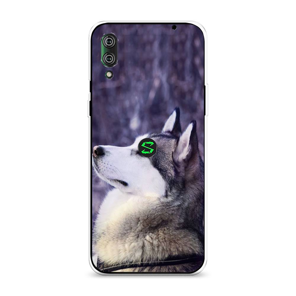 

Чехол на Xiaomi Black Shark 2"Хаски 1", Фиолетовый;белый, 36450-1