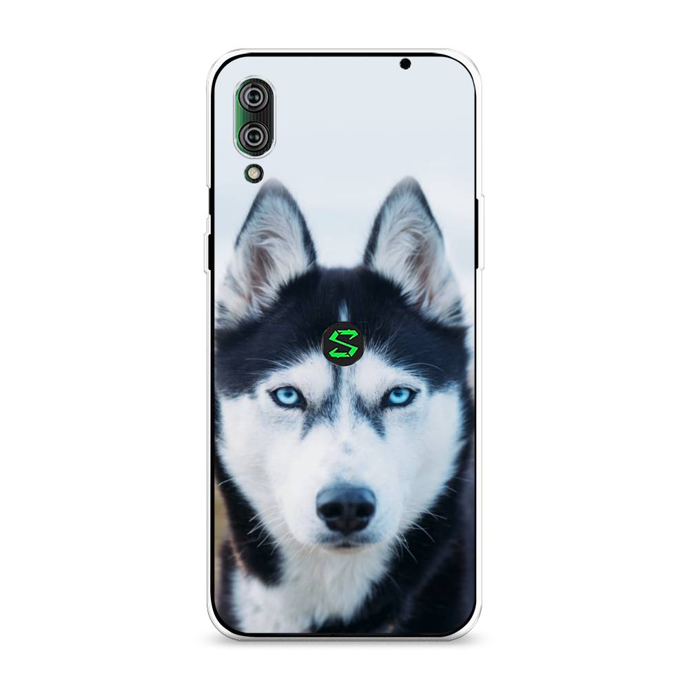 

Чехол на Xiaomi Black Shark 2"Хаски 2", Синий;белый, 36450-1