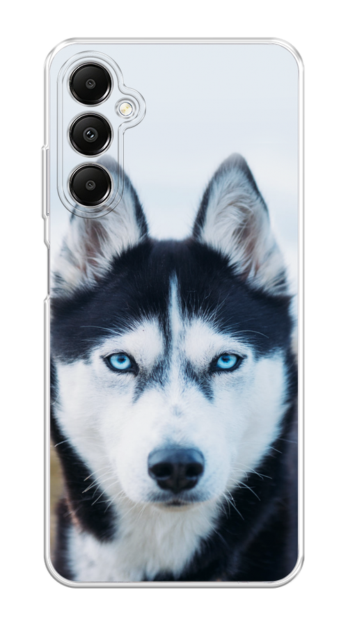 

Чехол на Samsung Galaxy A05s "Хаски 2", Синий;белый, 2108850-1