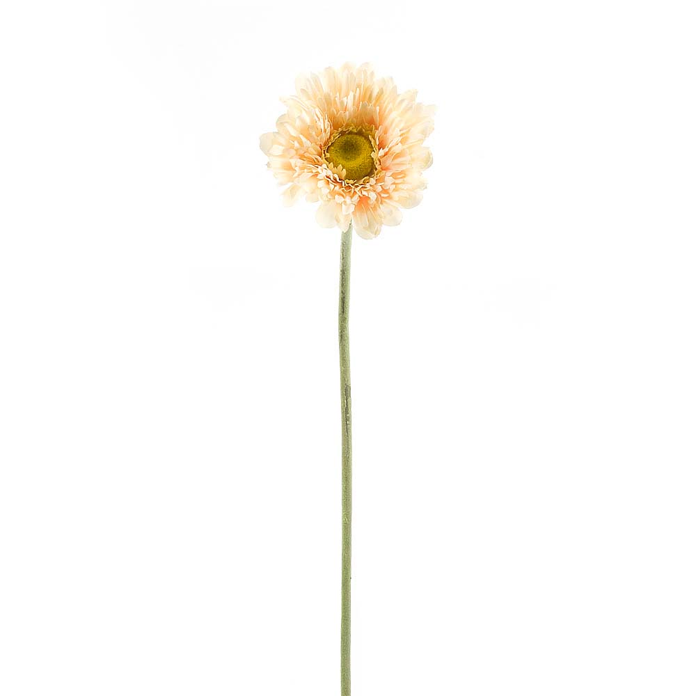 Цветок искусственный (на ножке) Гербера кремовая h=57см. Код: 7180252 GLORIA