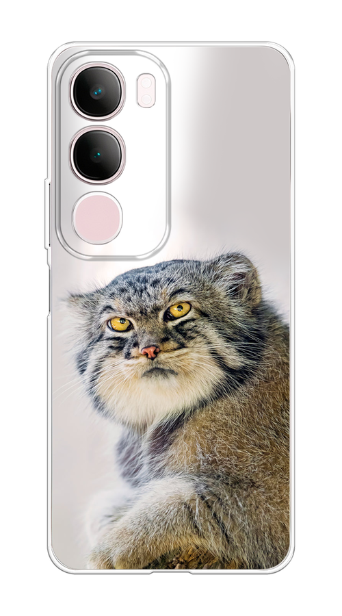 

Чехол на Vivo Y19s "Кот манул 1", Серый;белый;желтый, 2612350-1