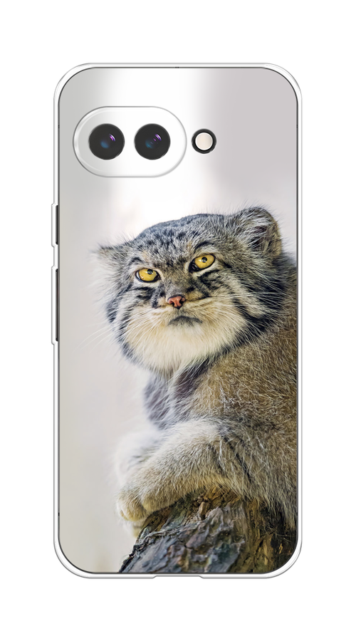 

Чехол на Google Pixel 9a "Кот манул 1", Серый;белый;желтый, 272250-1