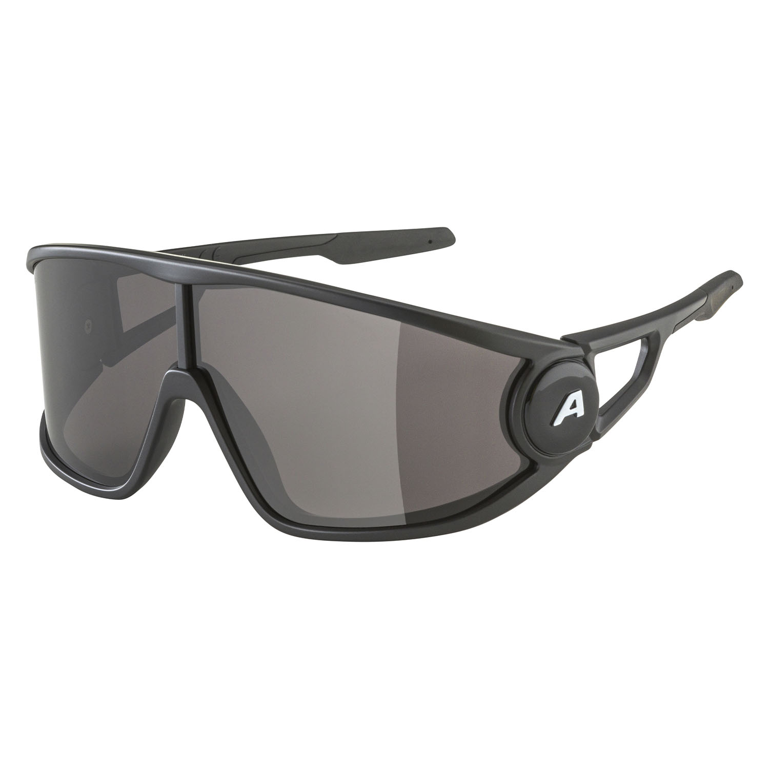 

Очки Солнцезащитные Alpina Legend Black Matt/Black Cat. 3 + Hydrophobic (Б/Р) 2024, Legend