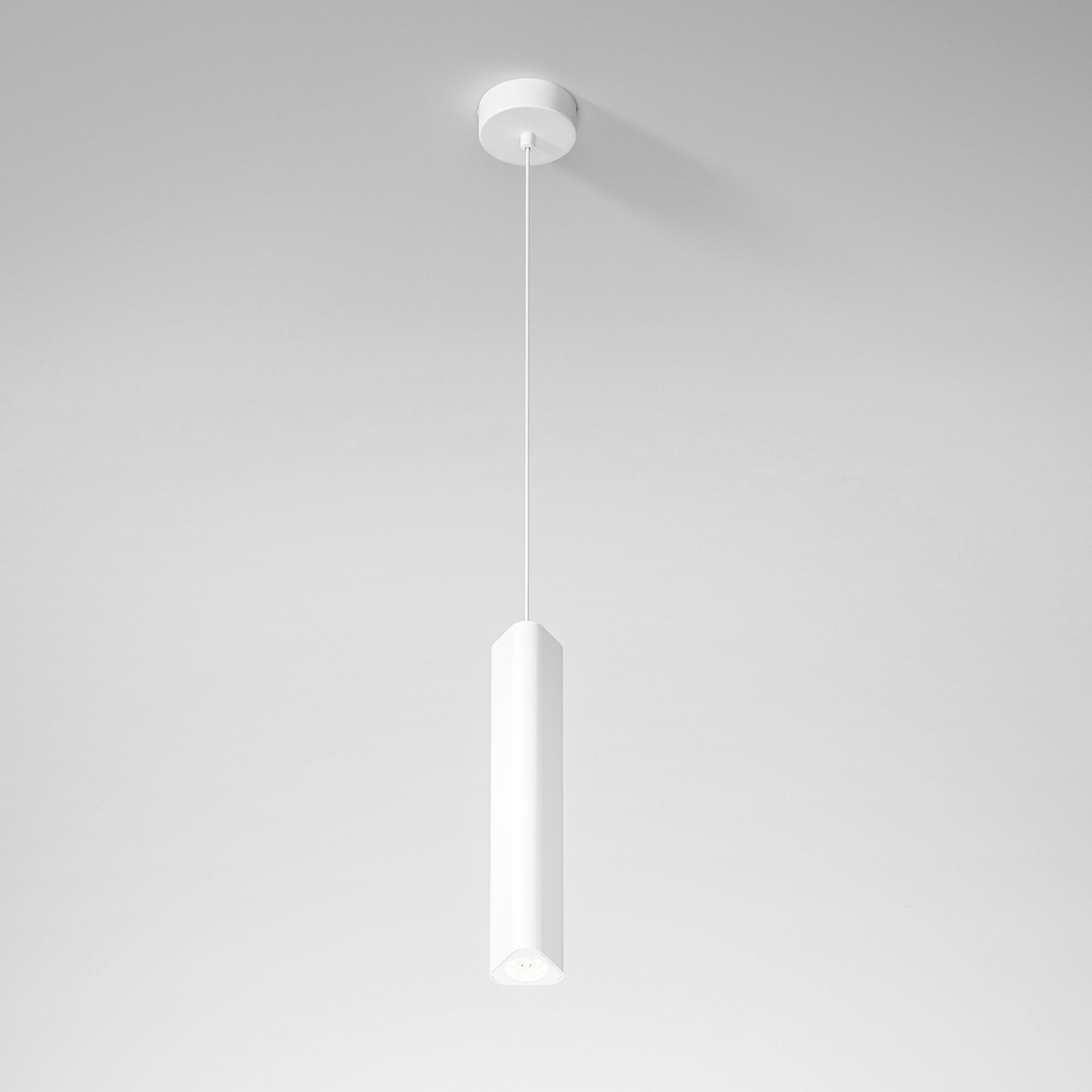 

Подвесной светильник Elektrostandard Trio 50310 LED 12W 4000K белый, Trio