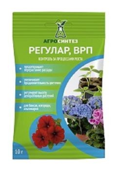 

Регулар, 1г