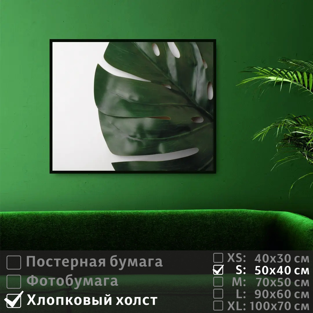 

Постер на холсте ПолиЦентр Лист монстеры 50х40 см, ЛистМонстеры