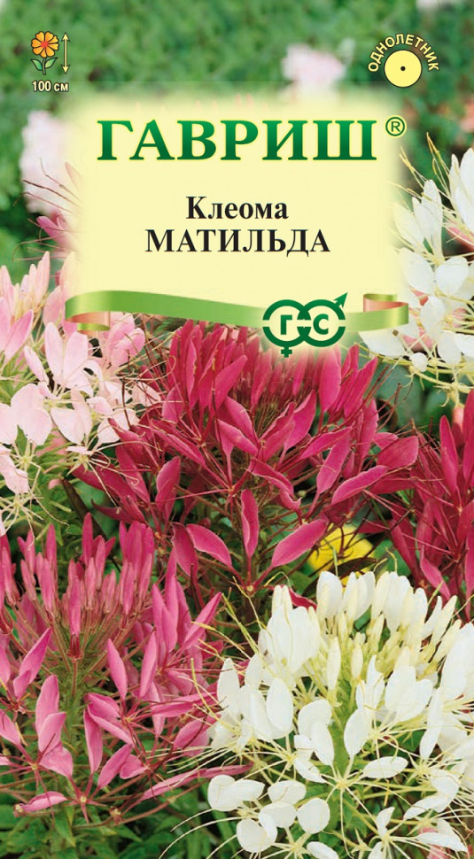 

Семена клеома Матильда Гавриш 1071858788-10 1 уп.