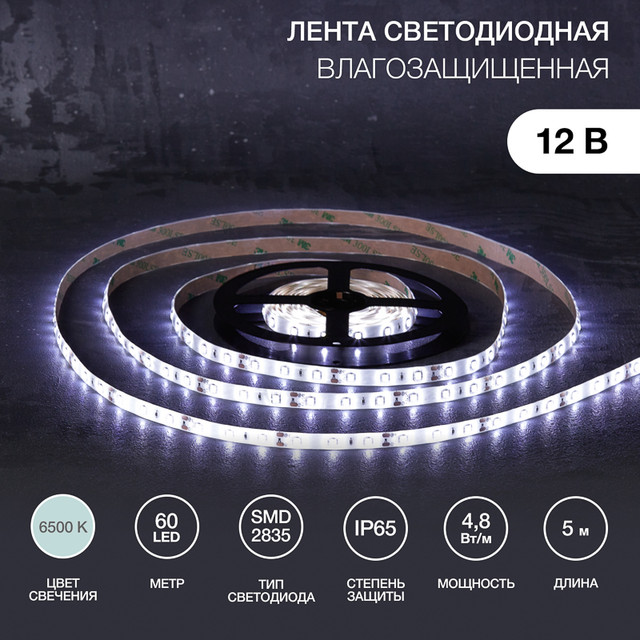 Светодиодная лента Lamper 141-2015 5 м белый холодный