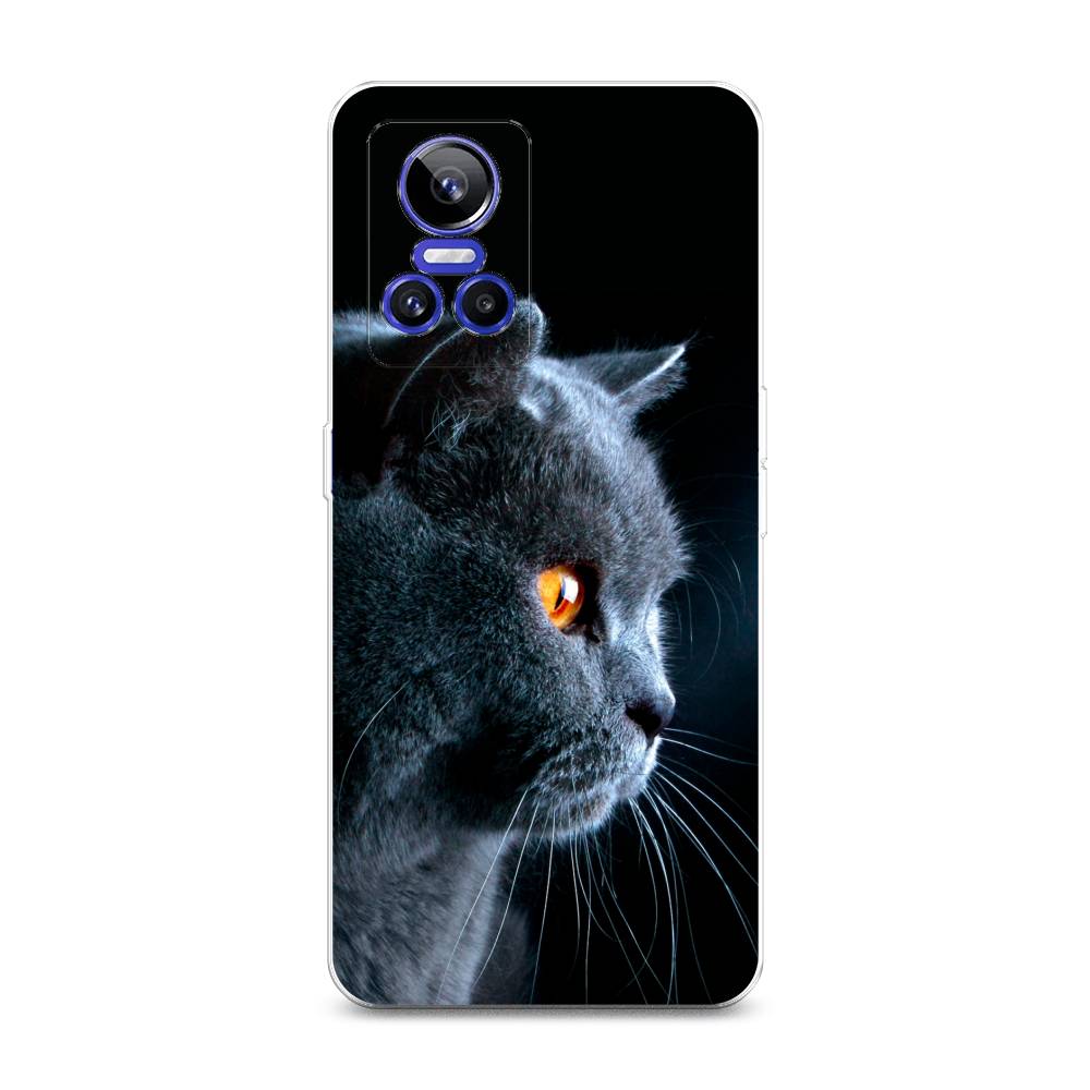 

Чехол Awog на Realme GT Neo 3 "Благородный кот британец", Разноцветный, 259050-2
