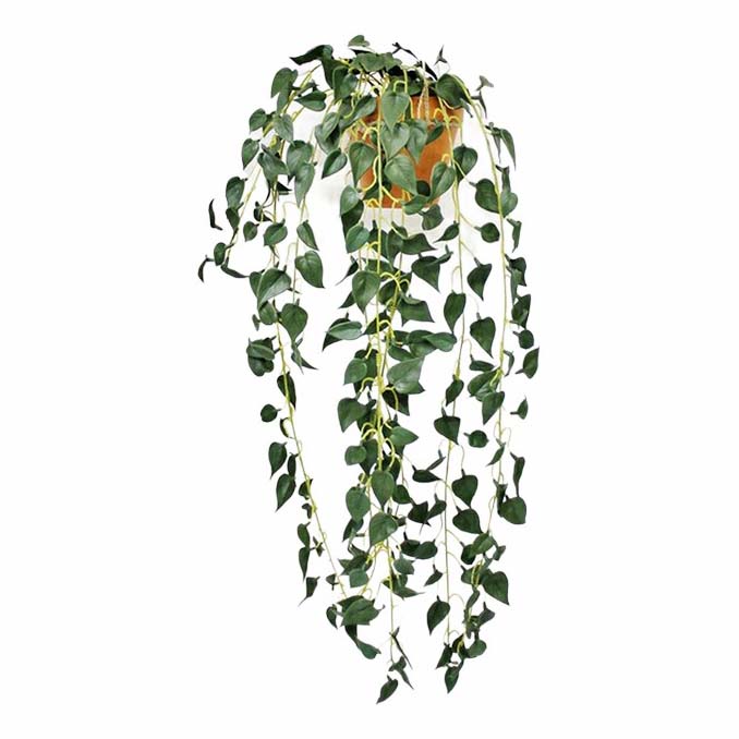 Искусственное растение Сциндапcус Конэко-О ампельный в кашпо 70 см