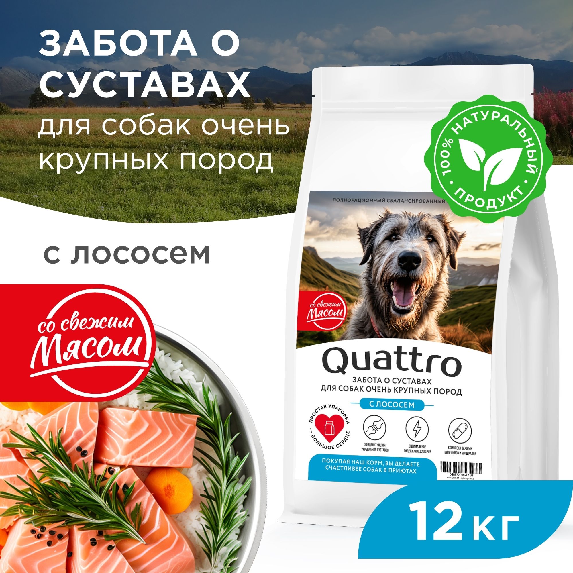 

Сухой корм для собак QUATTRO, Большие породы премиум, забота о суставах, лосось, 12 кг