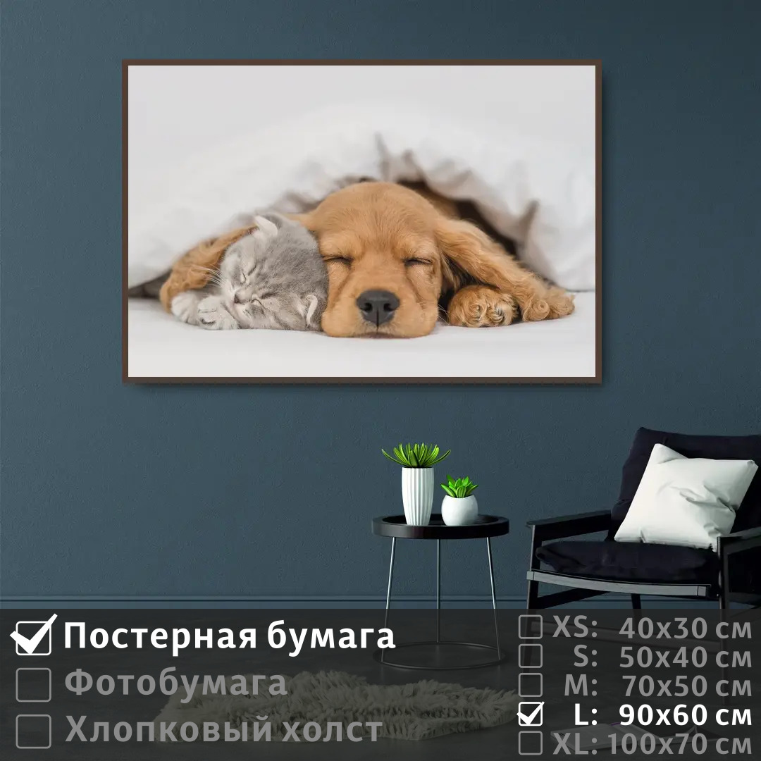 

Постер на стену ПолиЦентр Спящие котенок и щенок 90х60 см, СпящиеКотенокИЩенок