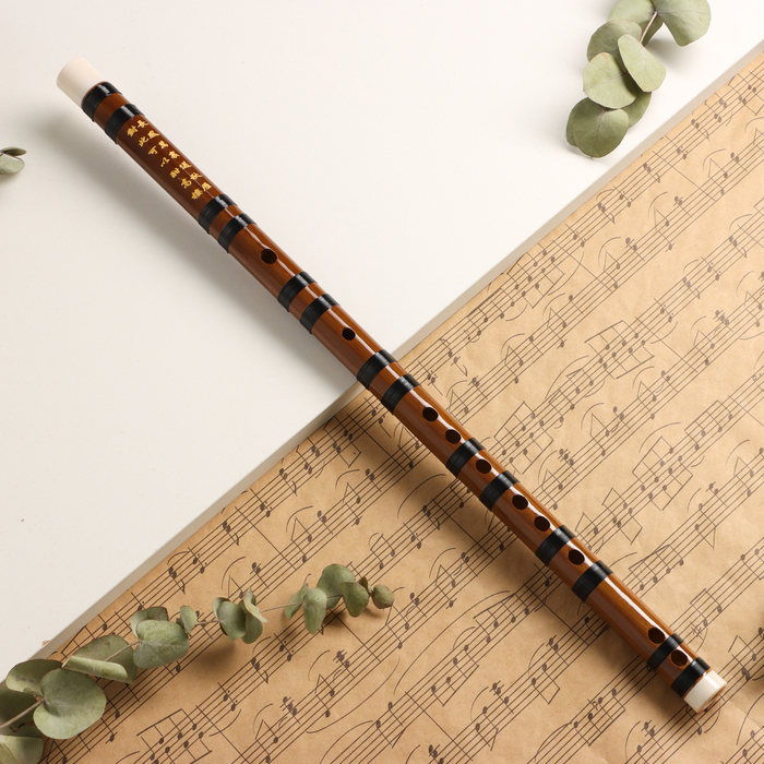 Флейта Music Life 10125673, 48 см, бамбук, тональность E