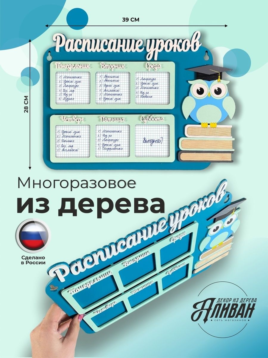 Школьное многоразовое расписание уроков Аливан с совой в бирюзовом цвете