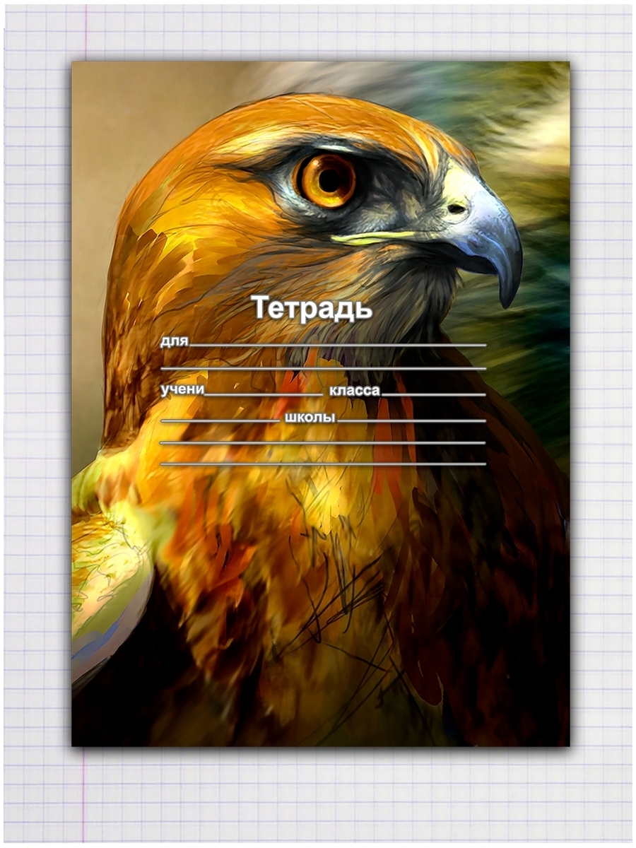 

Тетрадь Орел, 9310031