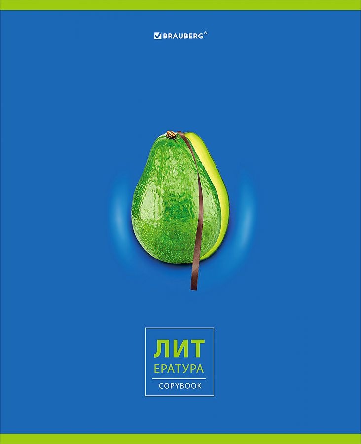 

Набор из 10 шт, Тетрадь предметная Brauberg AVOCADO 48 л., глянцевый лак, ЛИТЕРАТУРА