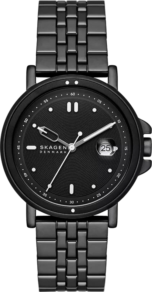 Наручные часы мужские Skagen SKW6920