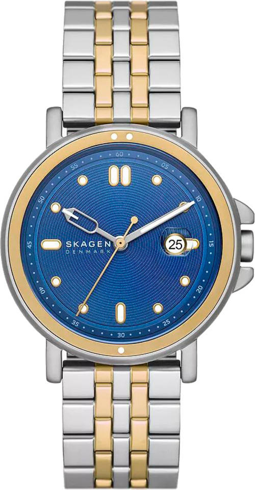 Наручные часы мужские Skagen SKW6921