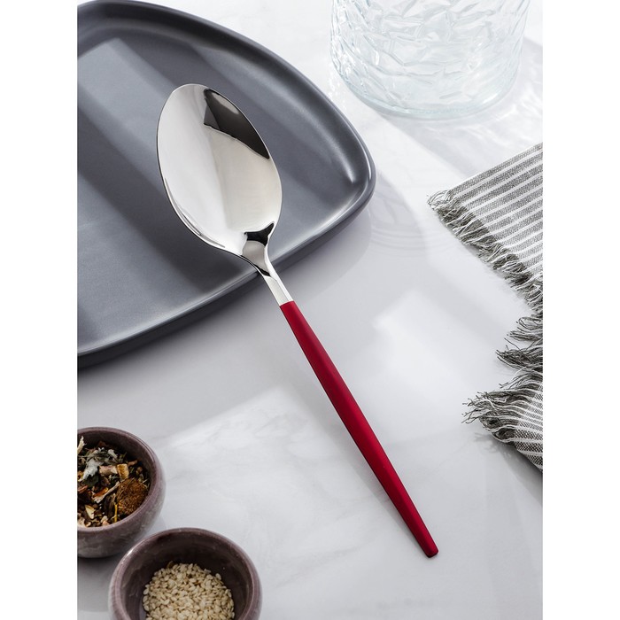 

Ложка гарнирная Magistro «Грэйс», 27,5 см, цвет ручки красный, цвет головы серебряный