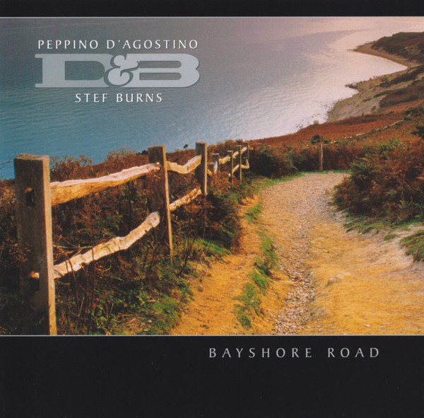

Peppino D'Agostino: Bayshore Road (1 CD)