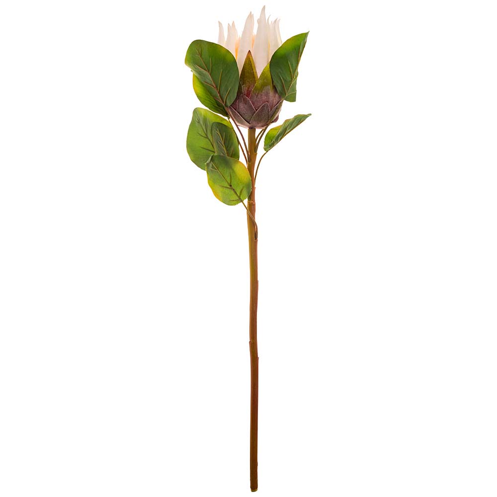 Цветок искусственный протея высота=68 см Lefard
