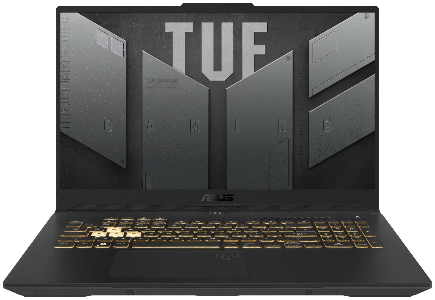 

Ноутбук ASUS TUF Gaming F17 FX707ZM-HX116 черный (90NR09G1-M007K0), TUF Gaming F17 FX707ZM-HX116