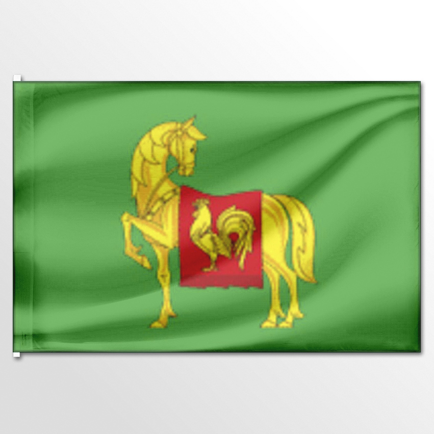 

Флаг ЦТП ФЕНИКС сельского поселения Ганусовское 135x90 см, 1811-135x90