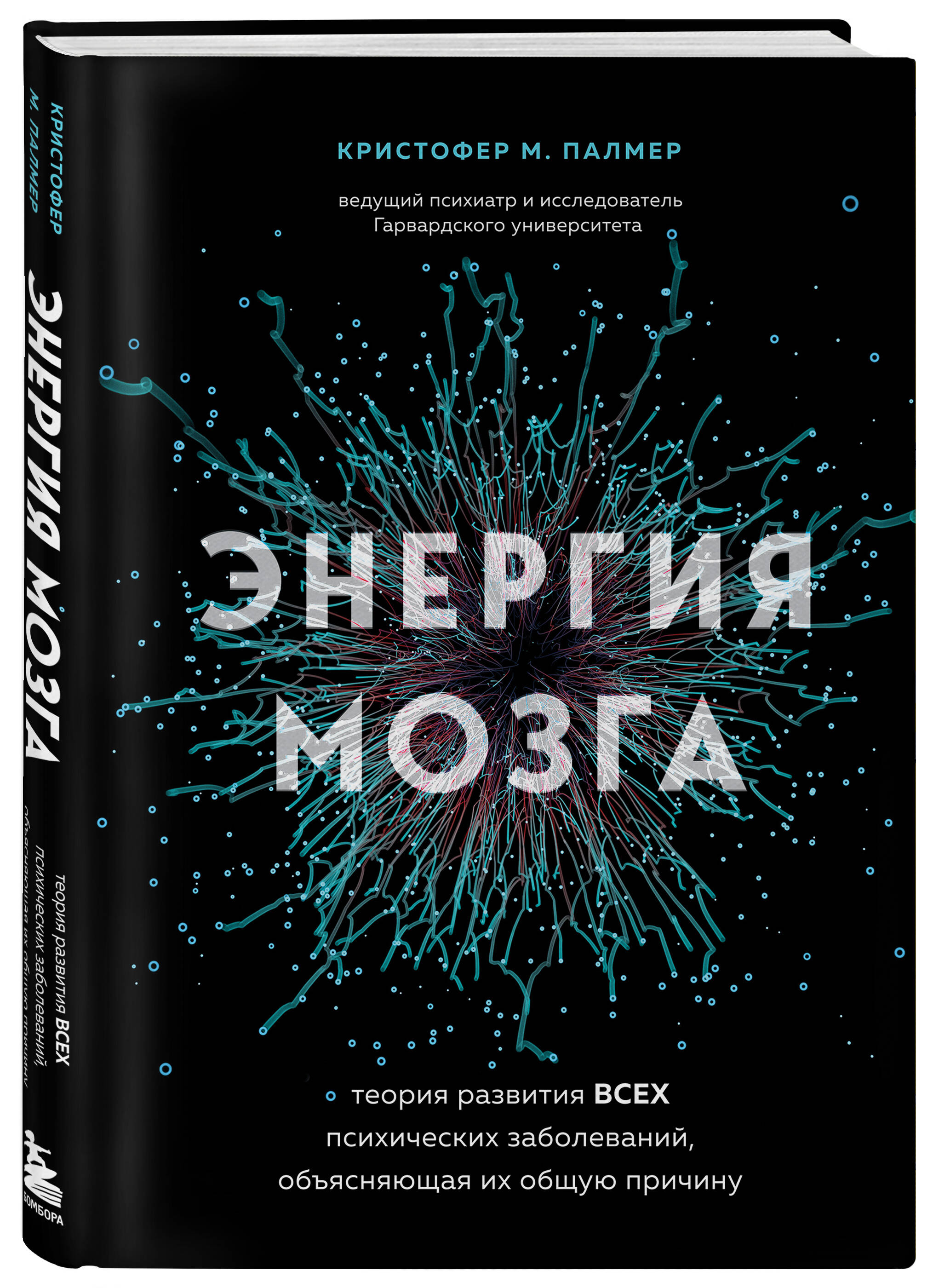 

Энергия мозга. Теория развития всех психических заболеваний,