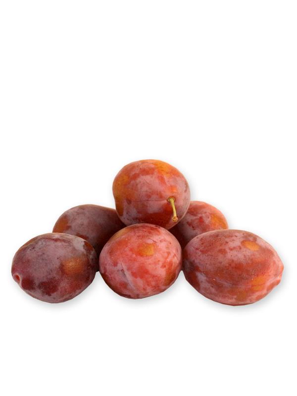 

Слива медовая